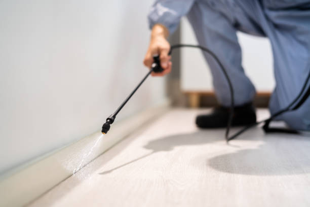 Licensed Pest Control service in West Falmouth, MA - Show Me Pest Control