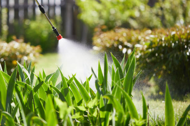 Tamper-Resistant Bait Stations for Rodents in West Falmouth